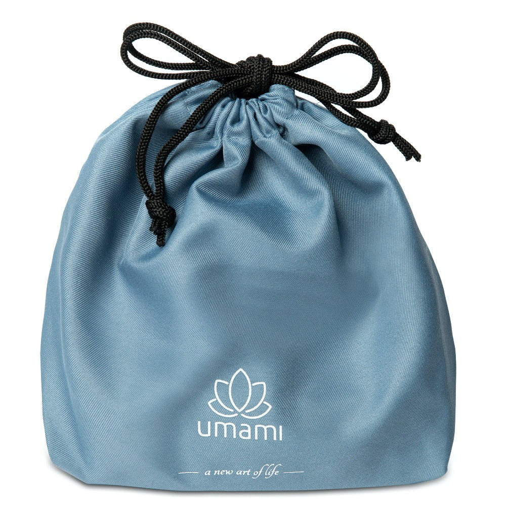 Umami Insulated Lunch Bag Black with Icepack – Umami Bentos