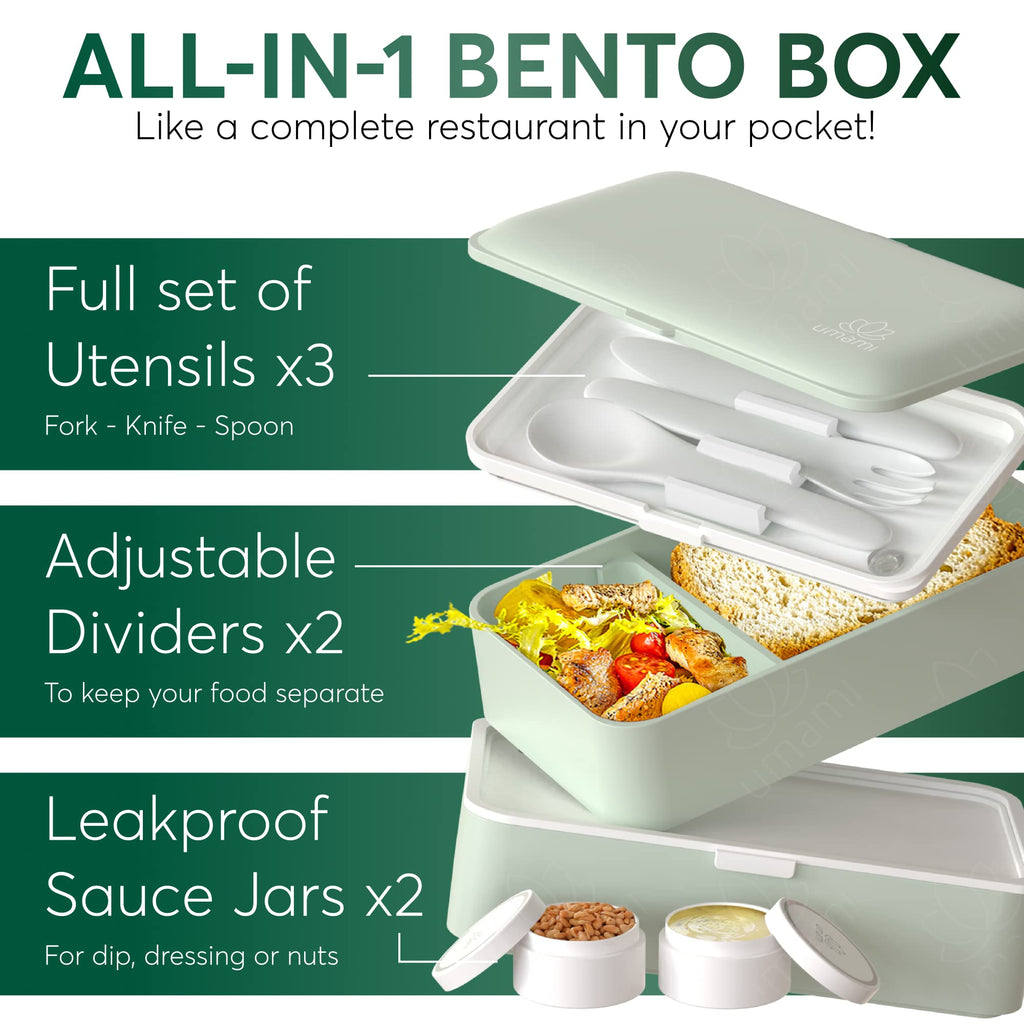 Umami Bento box for adults/children, new 2021 edition, includes 2 sauc –  ZeroShopping