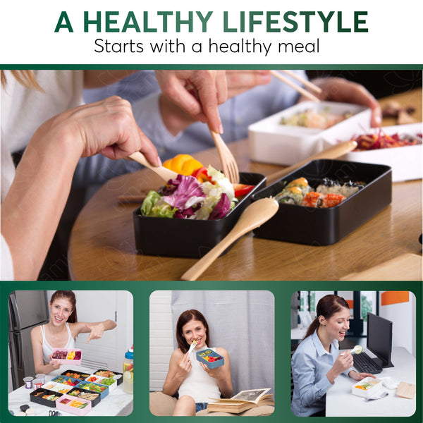 Original Bento Box Classic Limited Edition Fuji Umami Bentos