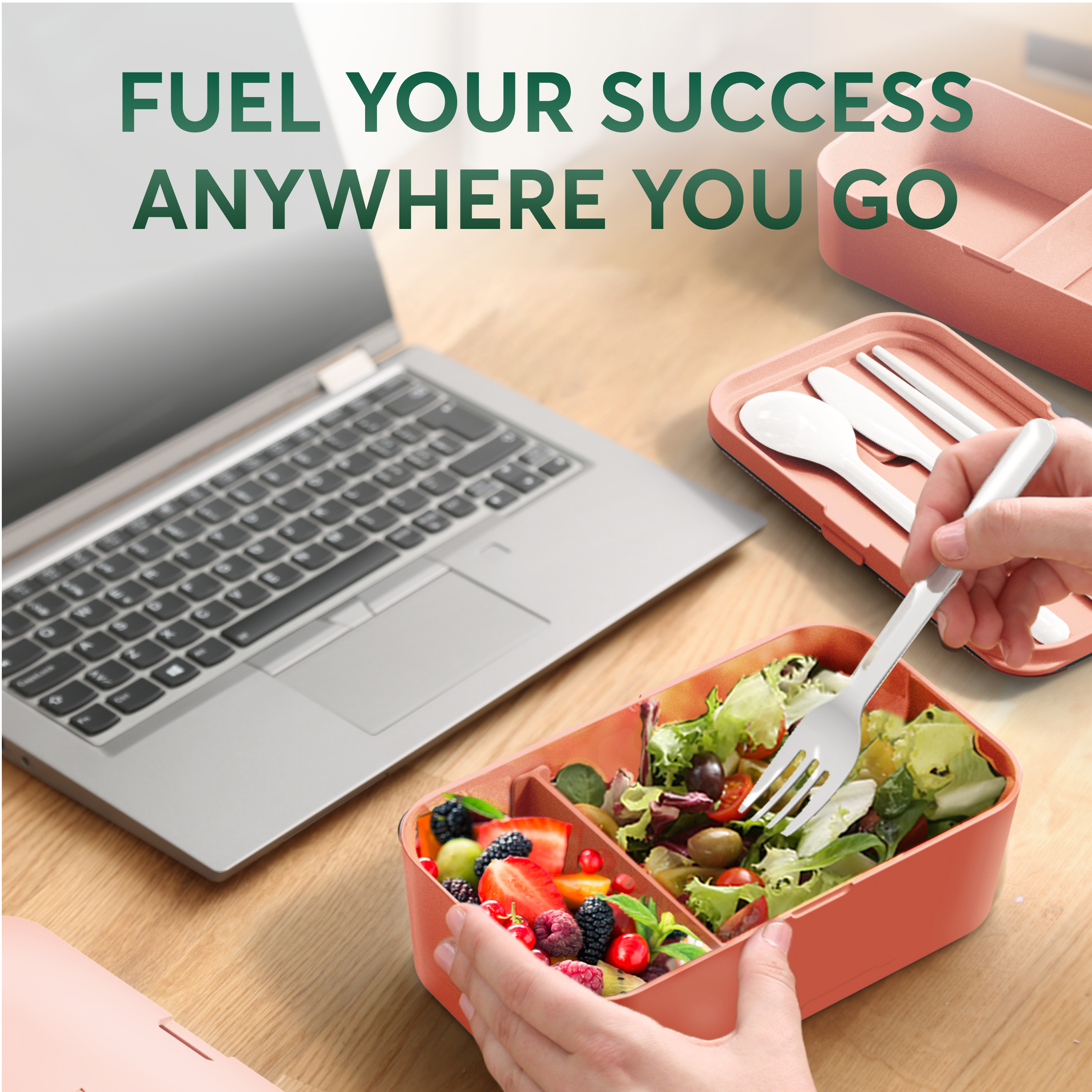 Single Layer Bento Box  Coral Pink (30 oz)